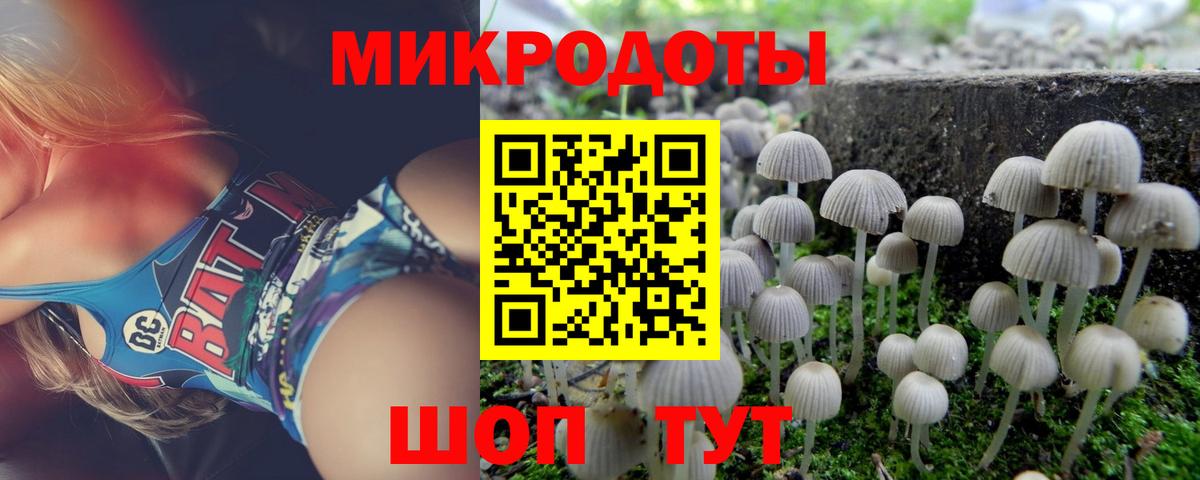Галлюциногенные грибы GOLDEN TEACHER  Псилоцибиновые грибы Cubensis  Вход с VPN  Рыбинск 